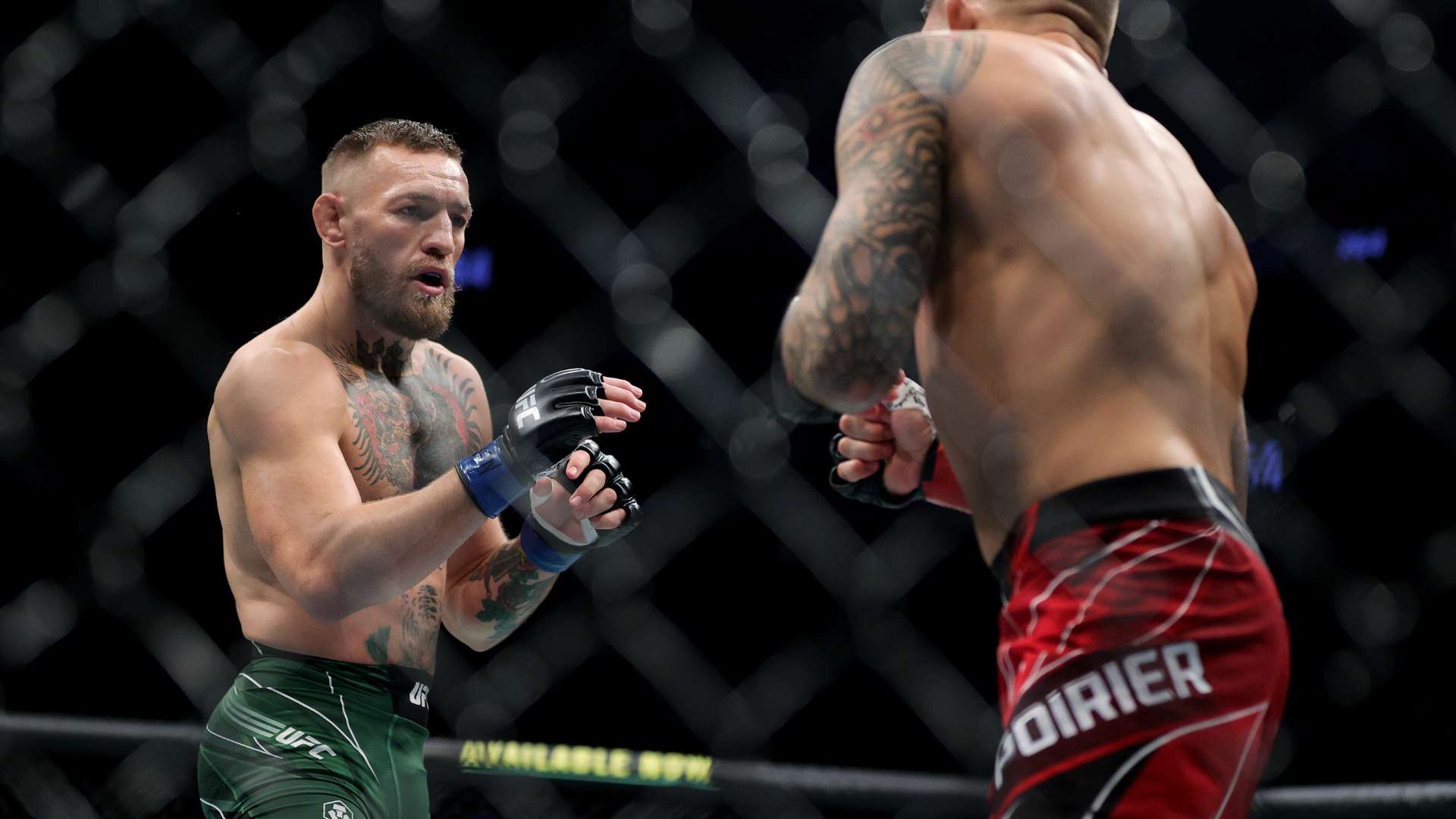 告背后的真 告背后的真